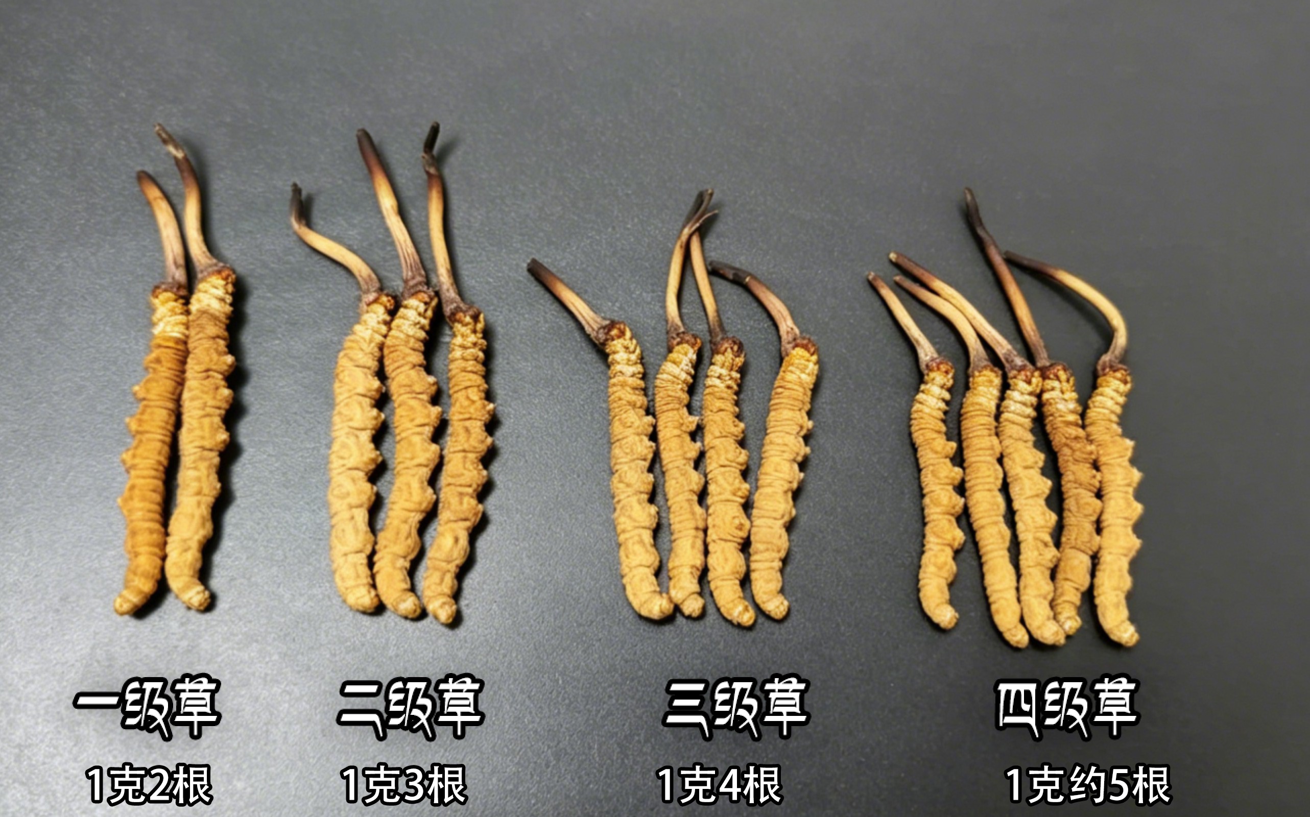 产品规格